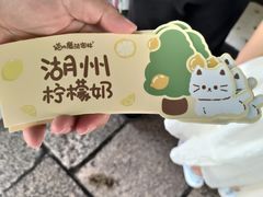 -猫的魔法密林(衣裳街店)