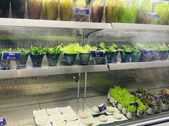 自助取餐区-海鼎荟海鲜姿造(仟禧汇店)