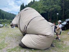 -武陵山森林公园