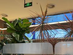 -Bco豆库(星耀天地店)