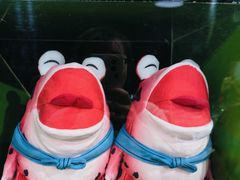 -上海电影博物馆