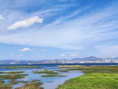 -洱海月湿地公园