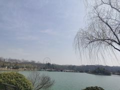 -宜兴龙背山森林公园