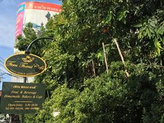 -Fern Forest Cafe