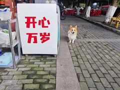 -李开心火锅馆(回兴店)
