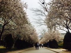 -山东师范大学(千佛山校区)