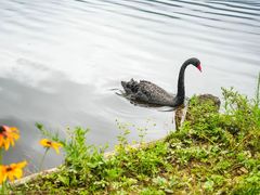 -大九湖