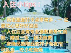 -亚龙湾热带天堂森林公园