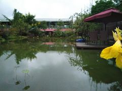 -洪湖家庭农场·团建·露营·会议