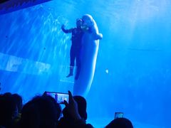 -多彩贵州城极地海洋世界