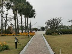 -芒洲湿地公园
