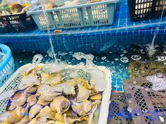 -驻海渔市(置信店)