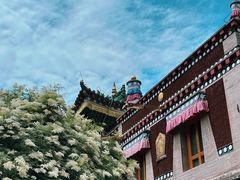 -塔尔寺