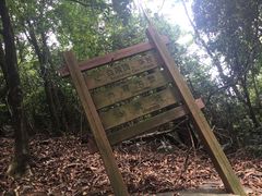 被我拍歪的指示牌，皮一下-火炉山森林公园