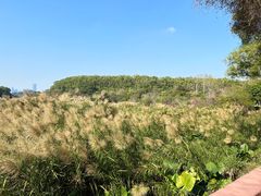 -水濂山水库景点停车场