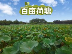 -保定东湖公园(莲池区)
