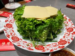 -金手勺东北菜馆(大屯北路店)