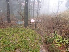 -庐山风景区花径公园