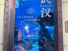 -海合安武汉极地海洋公园