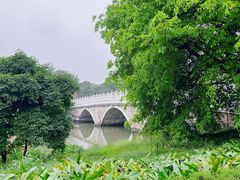 -海珠湖公园