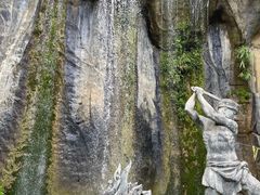 -西双版纳原始森林公园