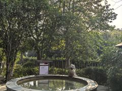 -张家港金凤凰度假村温泉