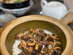 -红星光发煲仔饭(文海店)