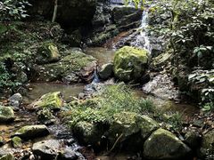 -莫干山风景区