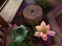 -韵秋荷(宝山龙湖天街店)