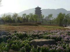 android_upload_pic-门城湖公园