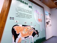 -君乐宝优致牧场