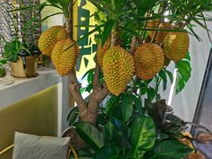 -猫王榴莲世家(三里屯SOHO商场店)