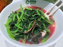 -绿草地·湘菜(芙蓉天街店)