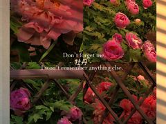 -国家植物园