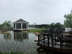 -上海鲜花港