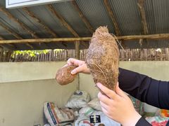 -大象粑粑造纸公园