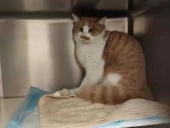 -萌兽医馆·犬猫专科·眼科中心·宠物医院(朝阳门分院)