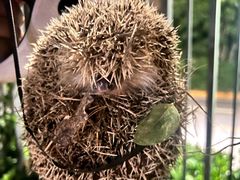 -王三哥动感洋芋(龙井沟店)