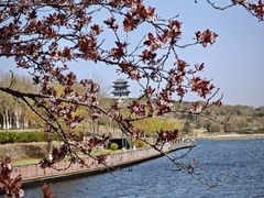 -甬妈妈湖畔里餐厅(唐山南湖旅游景区店)