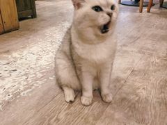 -小时光咖啡馆(北锣鼓巷店)