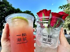 -一杯潮茶·专注潮汕茶饮(十二中创始店)