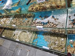 -晓伟海鲜家常菜