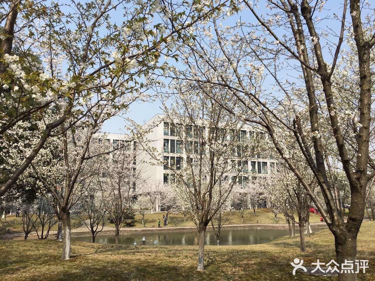 浙大紫金港校区参观攻略