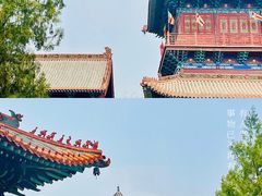 -大槐树寻根祭祖园