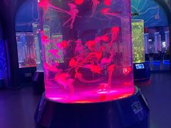 -上海海昌海洋公园