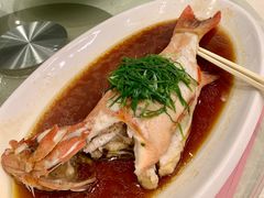 清蒸大海东星斑-金翠皇宫粤菜·点心·海鲜(科技园店)