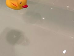 浴室小鸭子-北京康莱德酒店