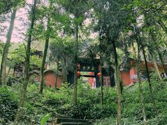 -青城山