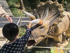 -东明山森林公园
