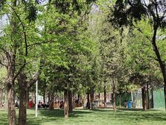-双榆树公园